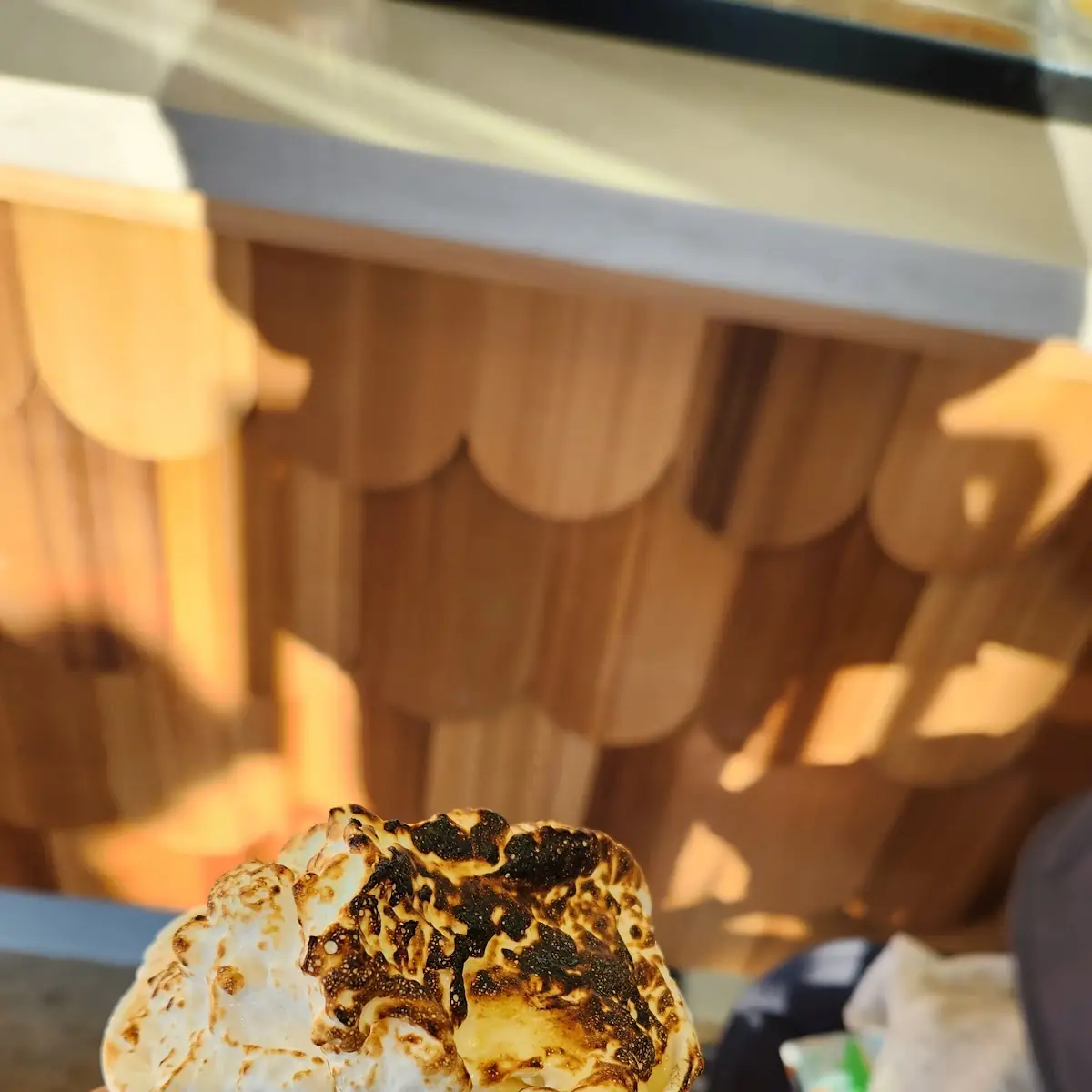 Double Mini Scoop with Toasted Marshmallow Topping