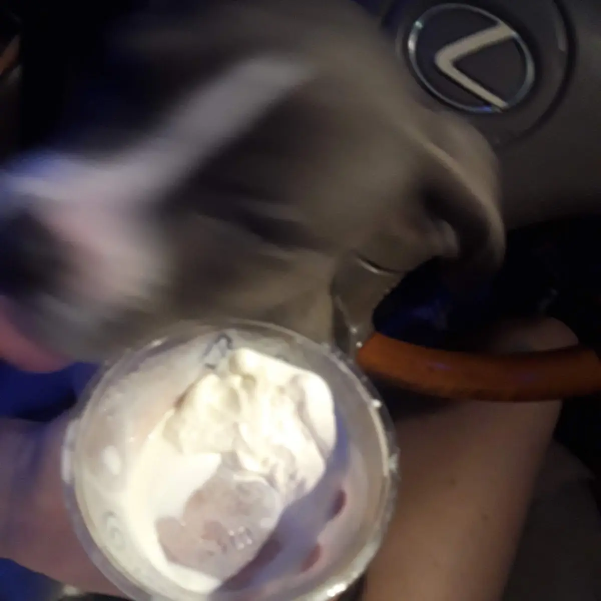 Vanilla Ice Cream