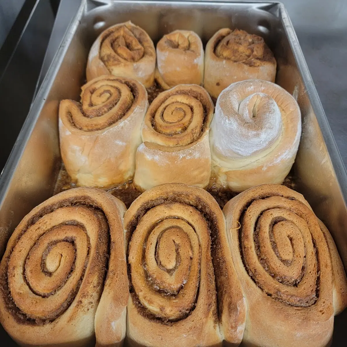 Cinnamon Roll