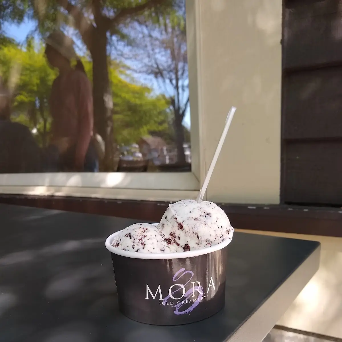 Mint with Sliced Chocolate Ice Cream