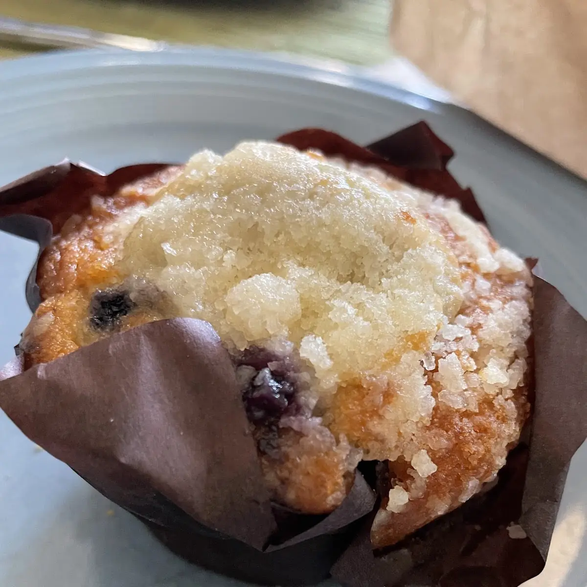 Blueberry Muffin