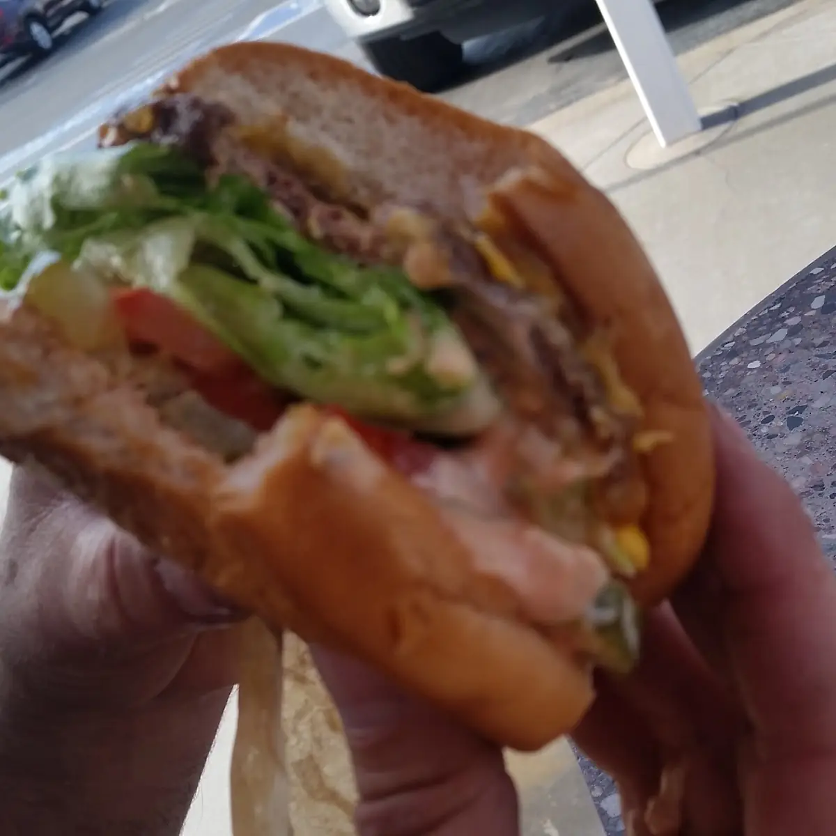Single Cheese Burger
