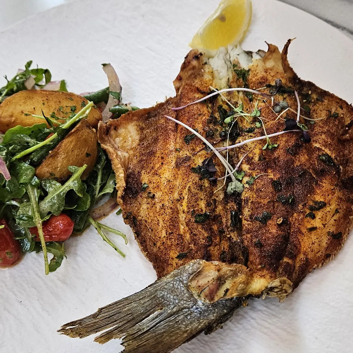 Sea Bass