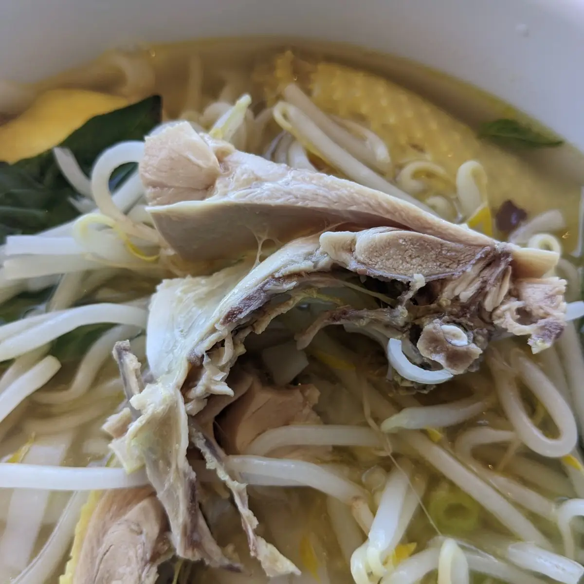 2 Chicken Ho Fun
