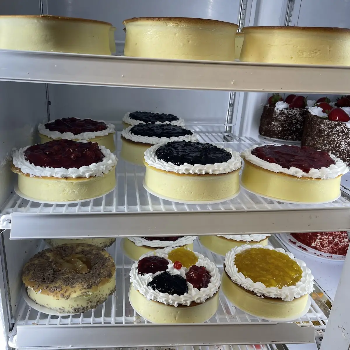 Cheese Cake
