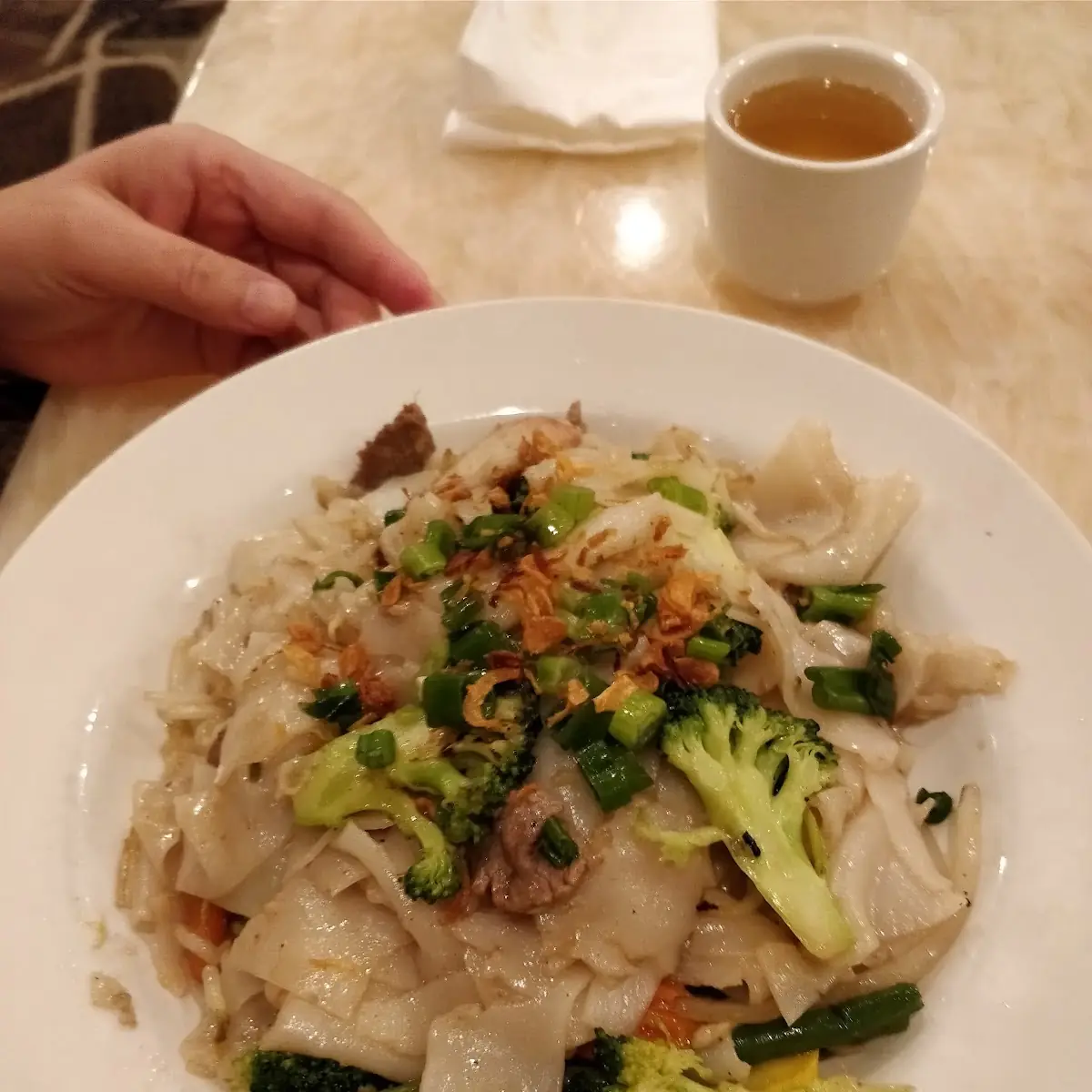 Wide Rice Noodles Meat Vegi Fish