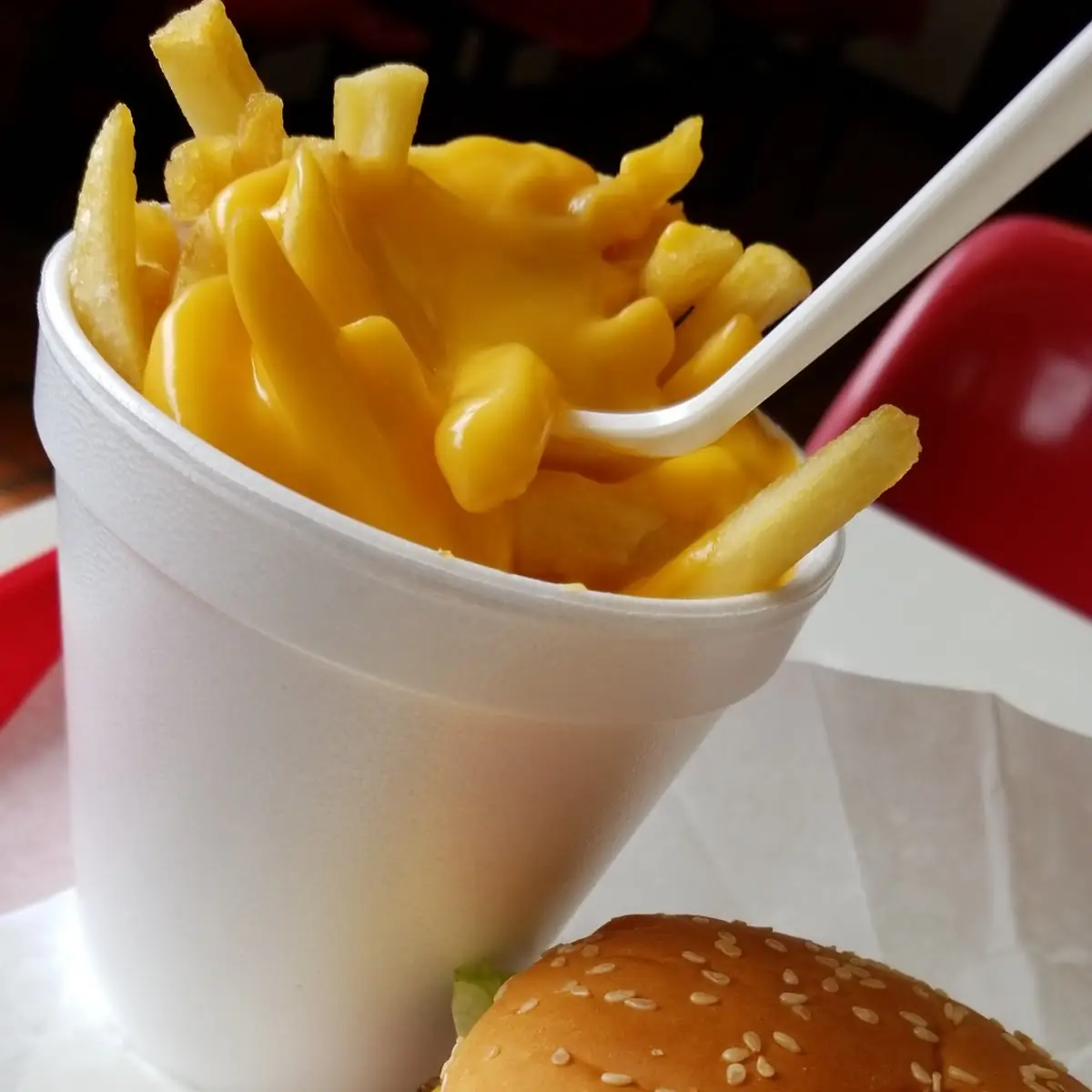 Cheeseburger with Cheese Fries