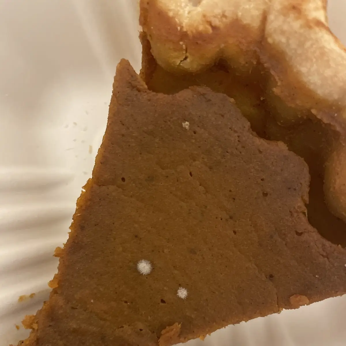 Pumpkin Pie
