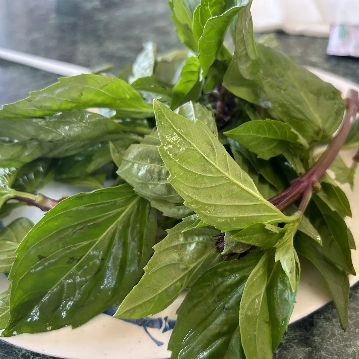 Thai Basil