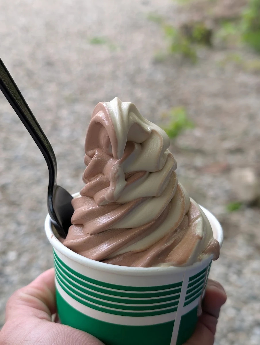 Frozen Yogurt
