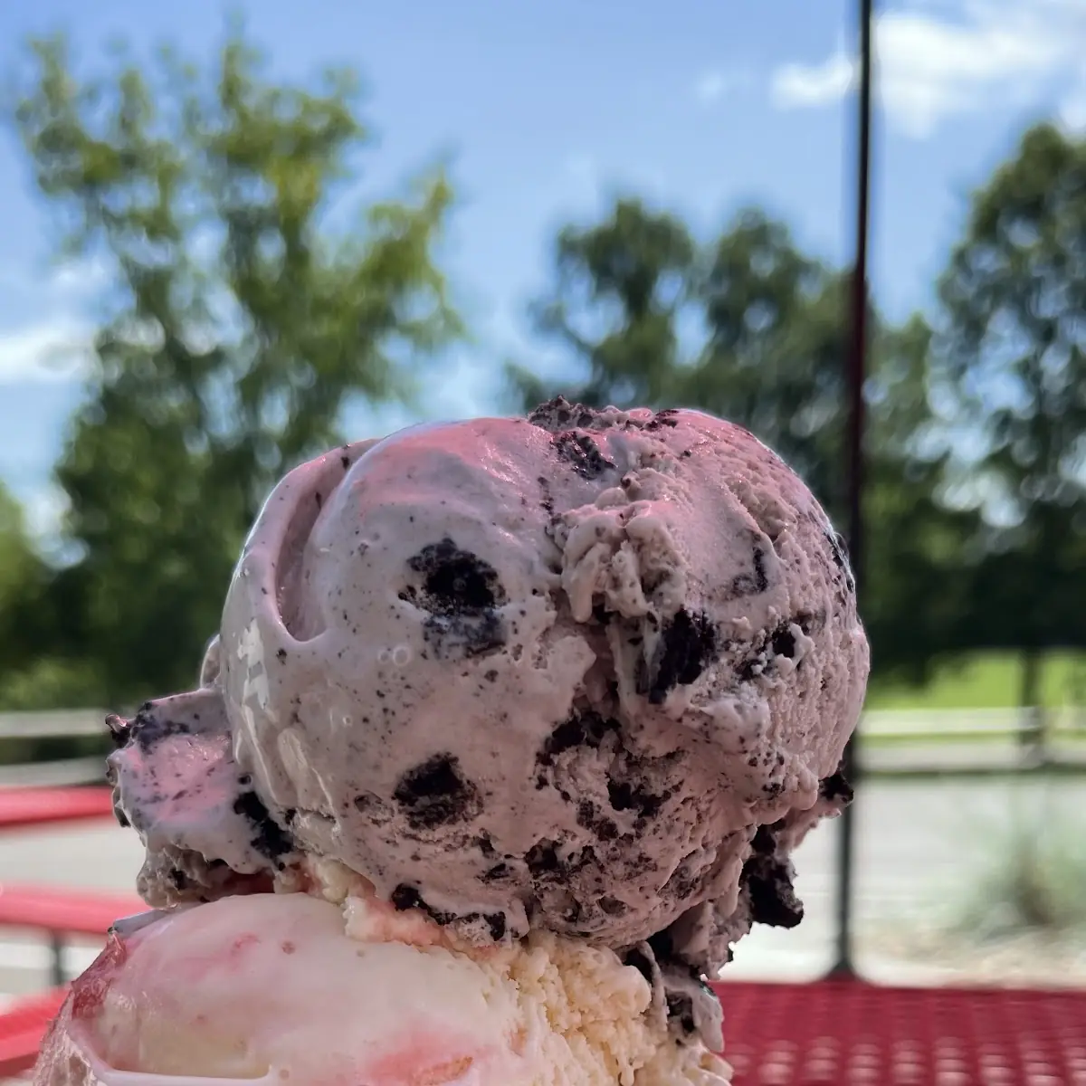 Black Cherry Chip