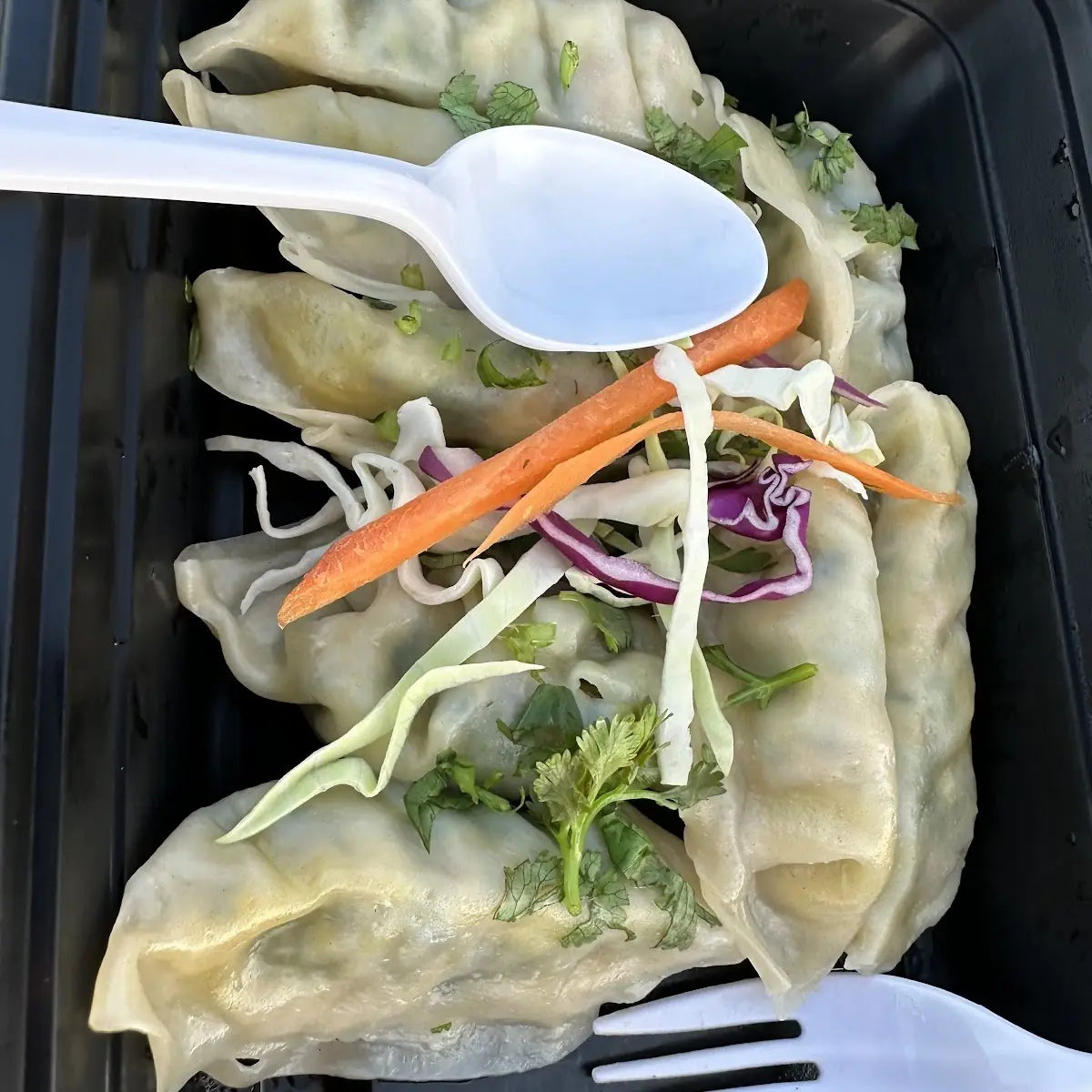 Steamed Dumplings