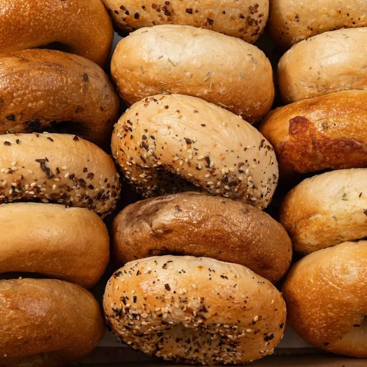 Plain and Everything Bagels