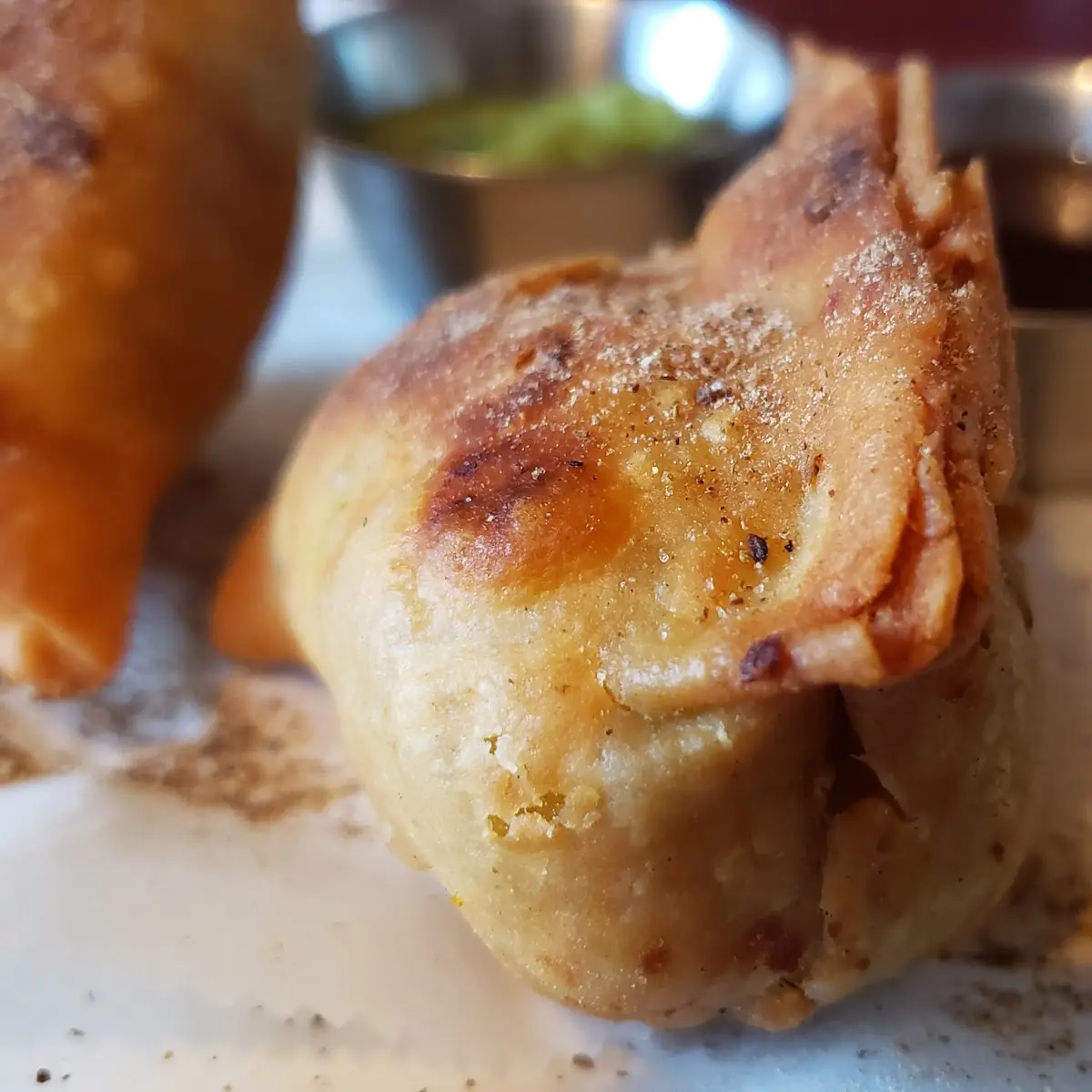 Vegetable Samosa