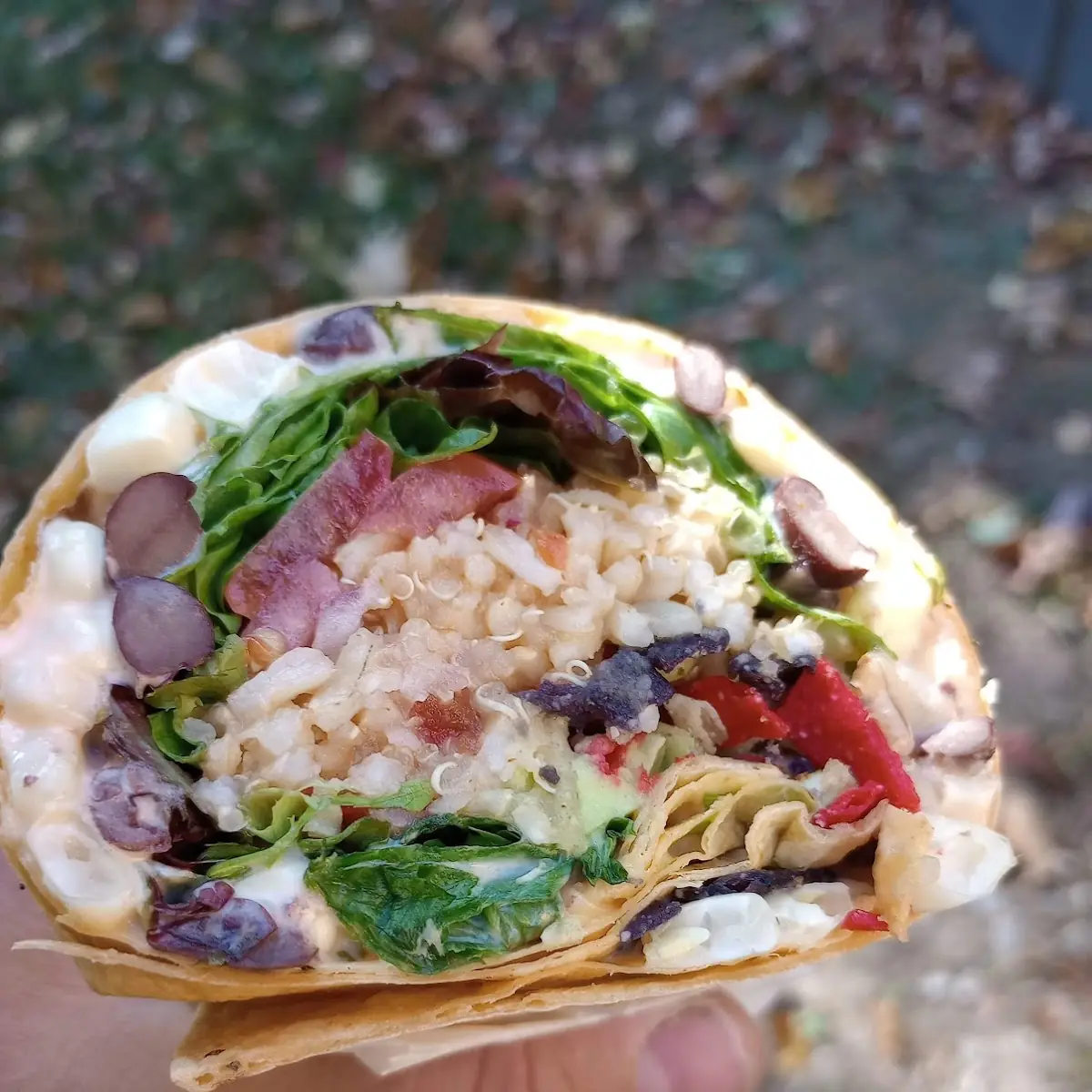 Power Burrito