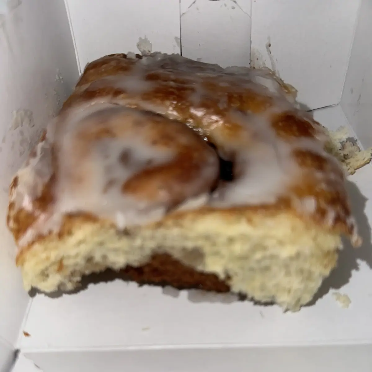 Apple Fritter