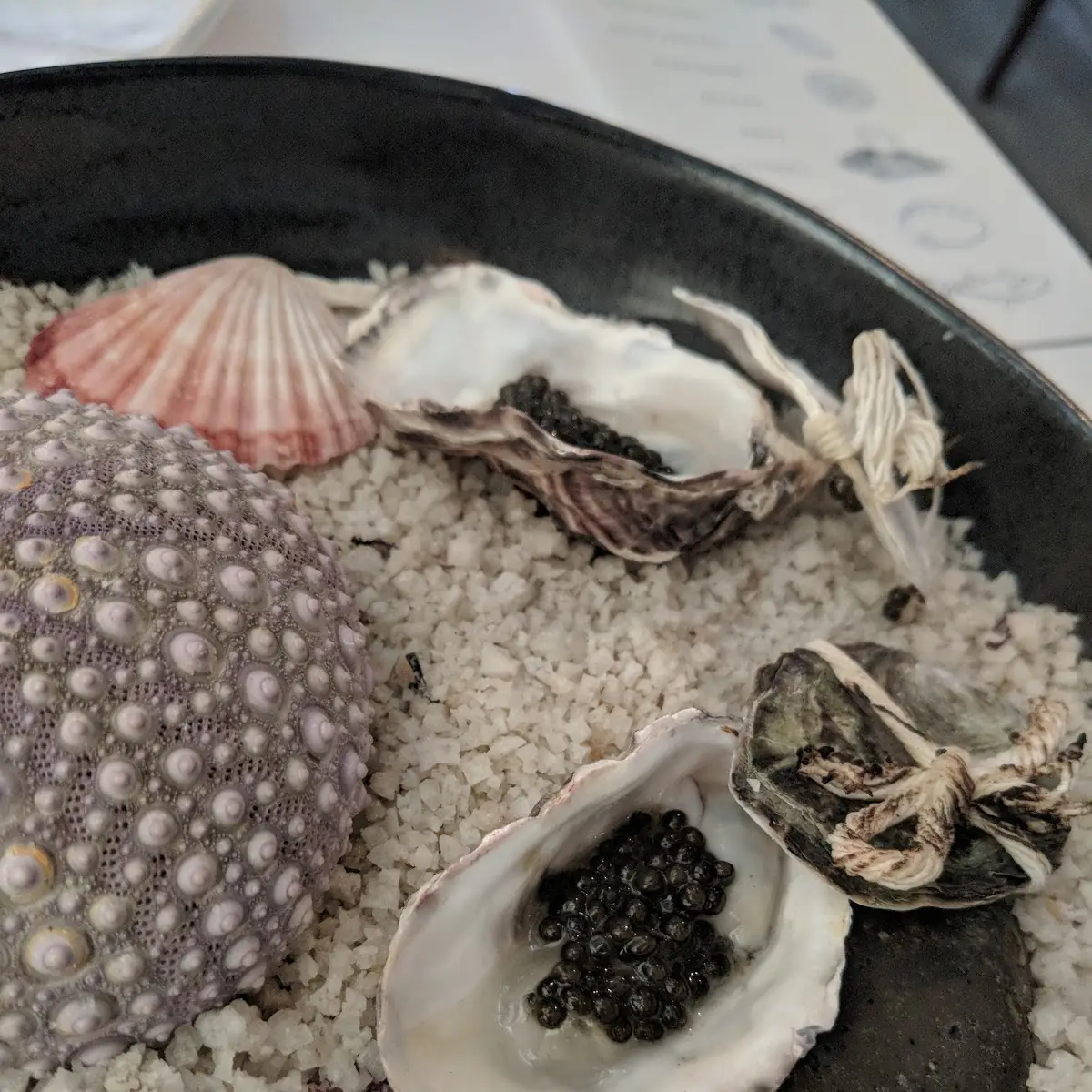 Oysters on the Half Shell