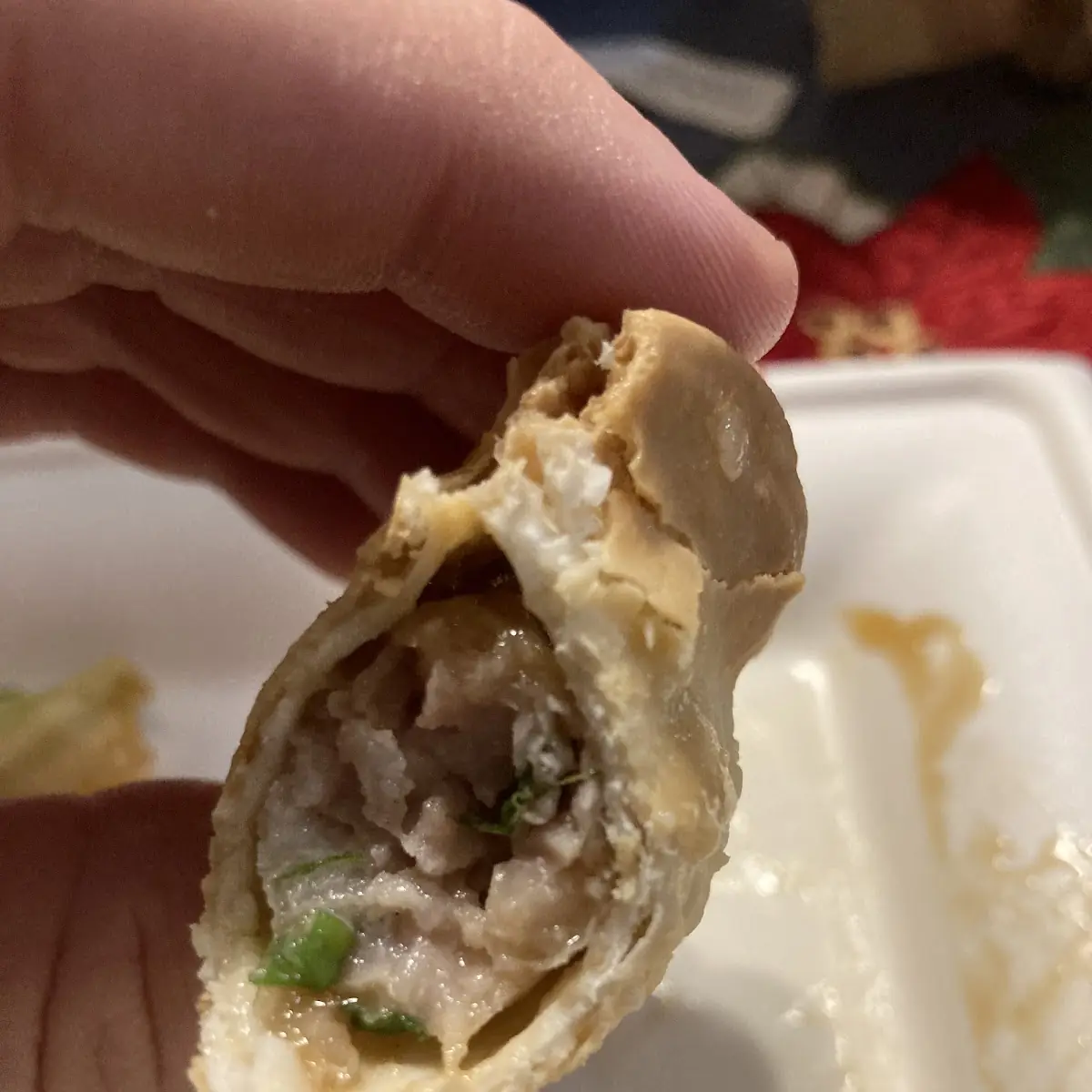 Egg Roll or Spring Roll