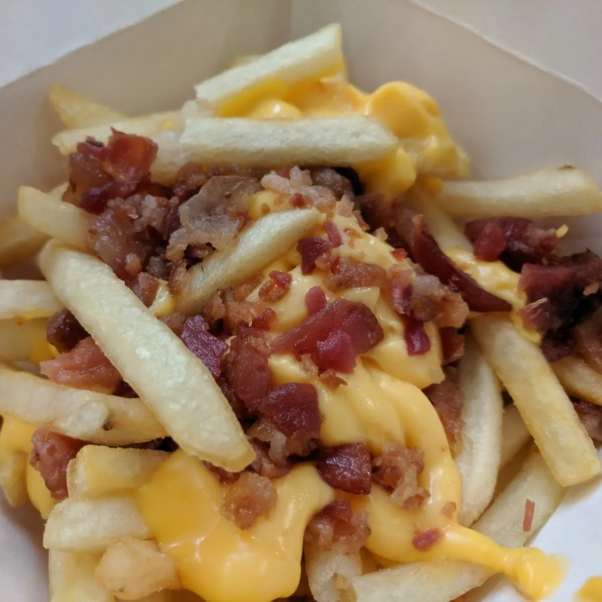 World Famous Fries