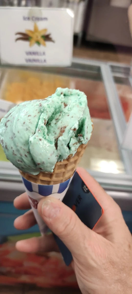 Mint Chocolate Chip