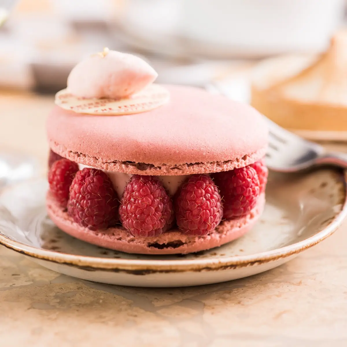 Raspberry Rose Macaron