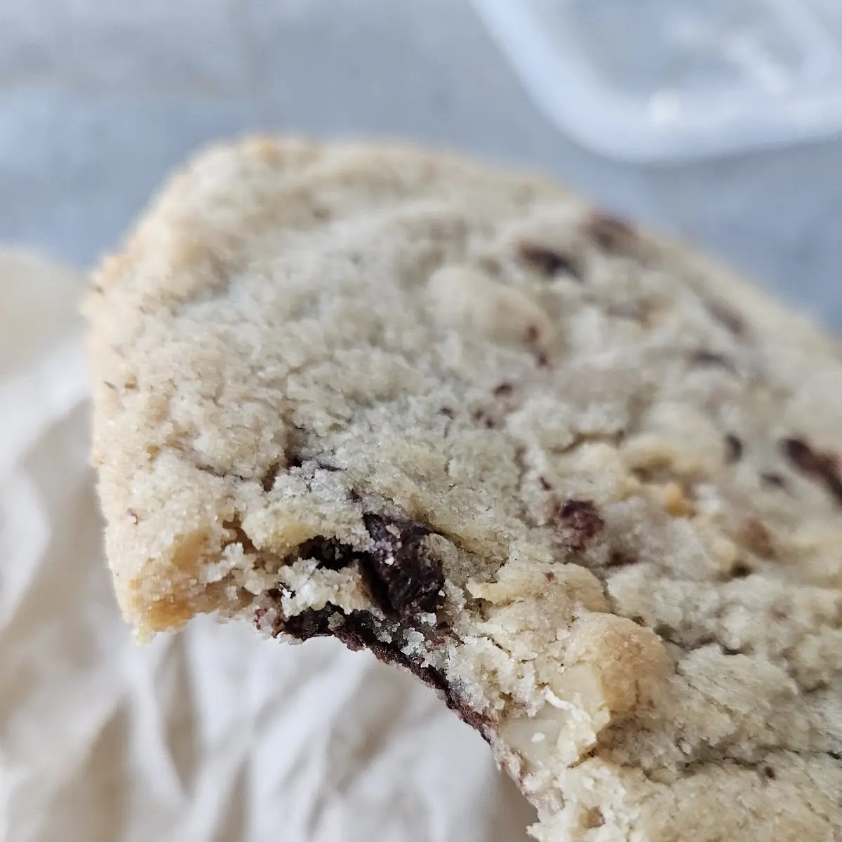 Chocolate Chip Walnut