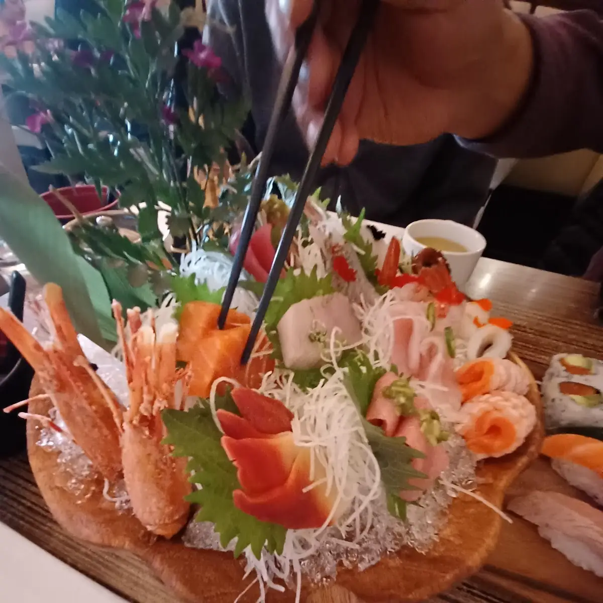 Hachi Sashimi