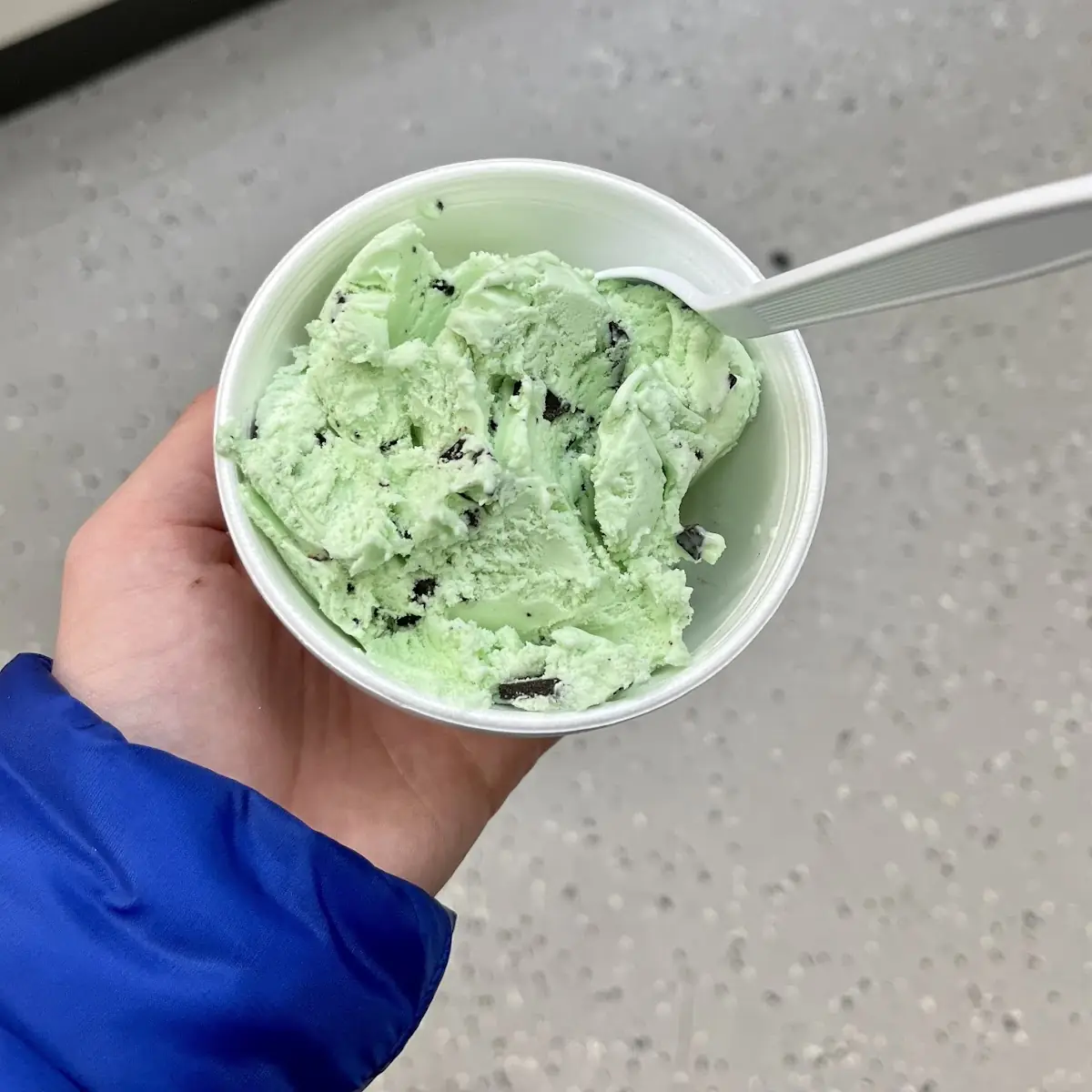 Mint Chocolate Chip Ice Cream
