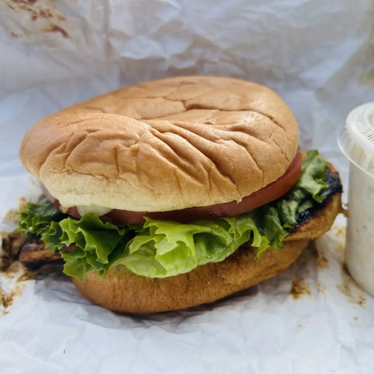 Grilled Chicken Sandwich