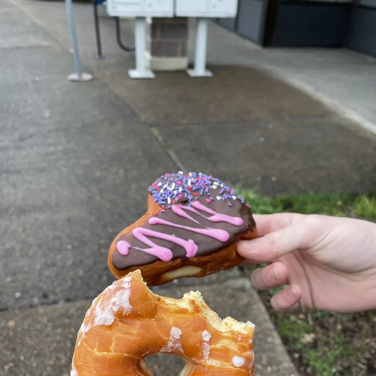 Glazed Doughnut and Chocolate Heart Sprinkles