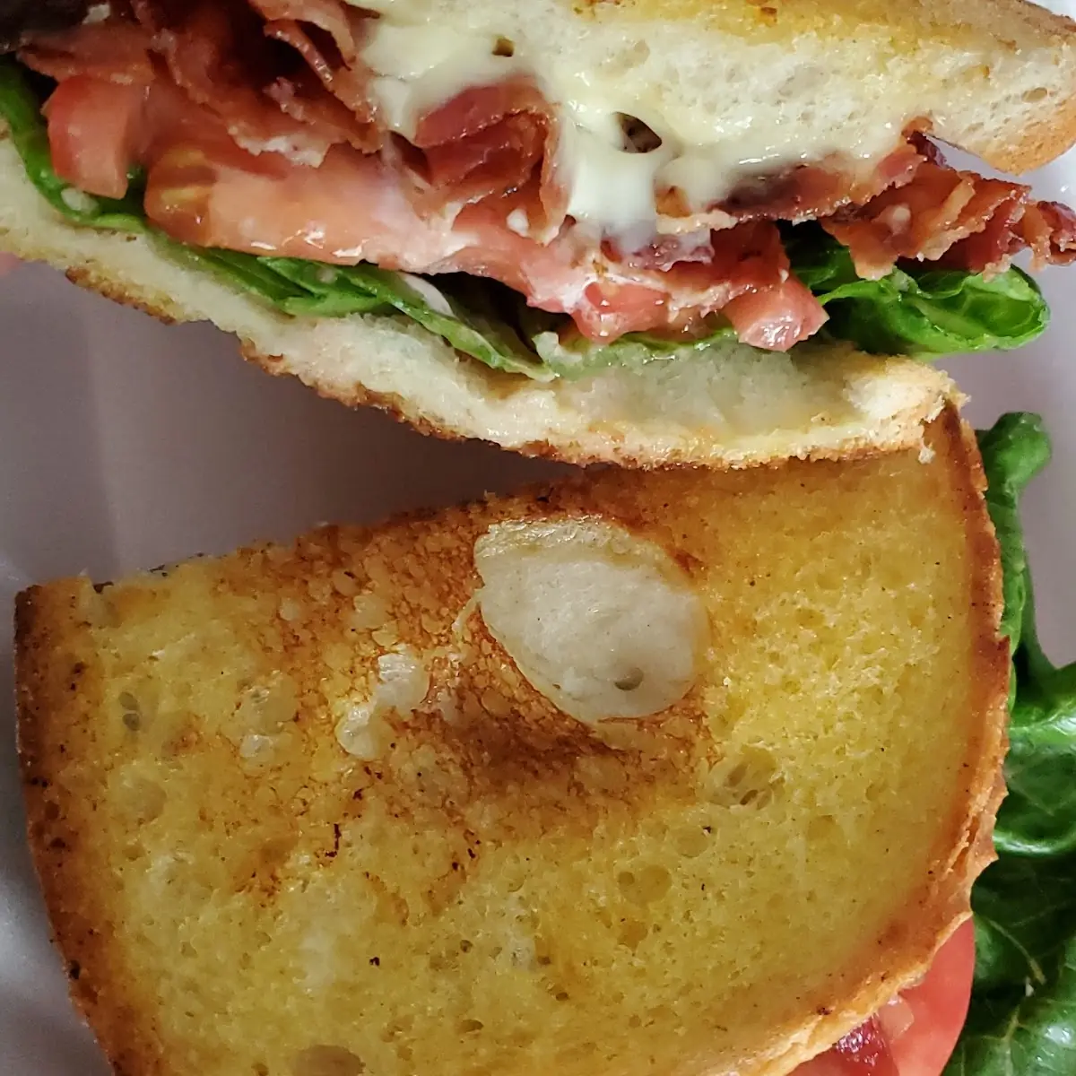 Turkey Bacon Melt