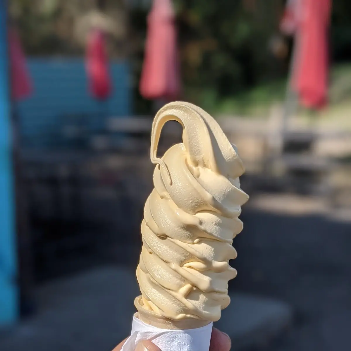Sample Size Pumpkin Soft Serve