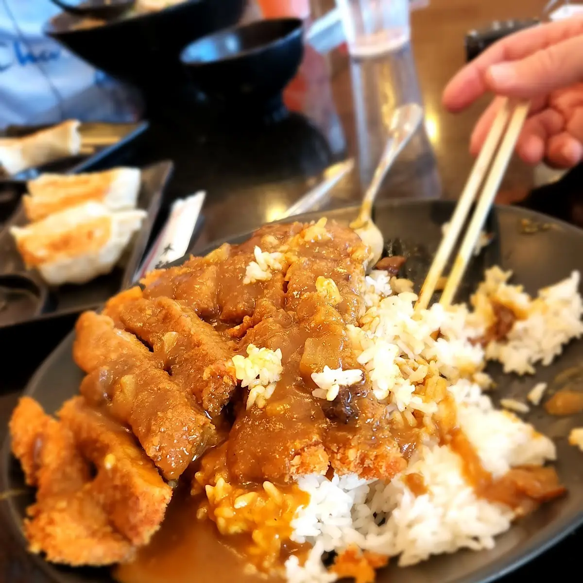 Deep Fried Gyoza Curry Rice