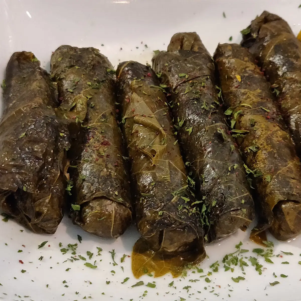 Stuffed Grape Leaves
