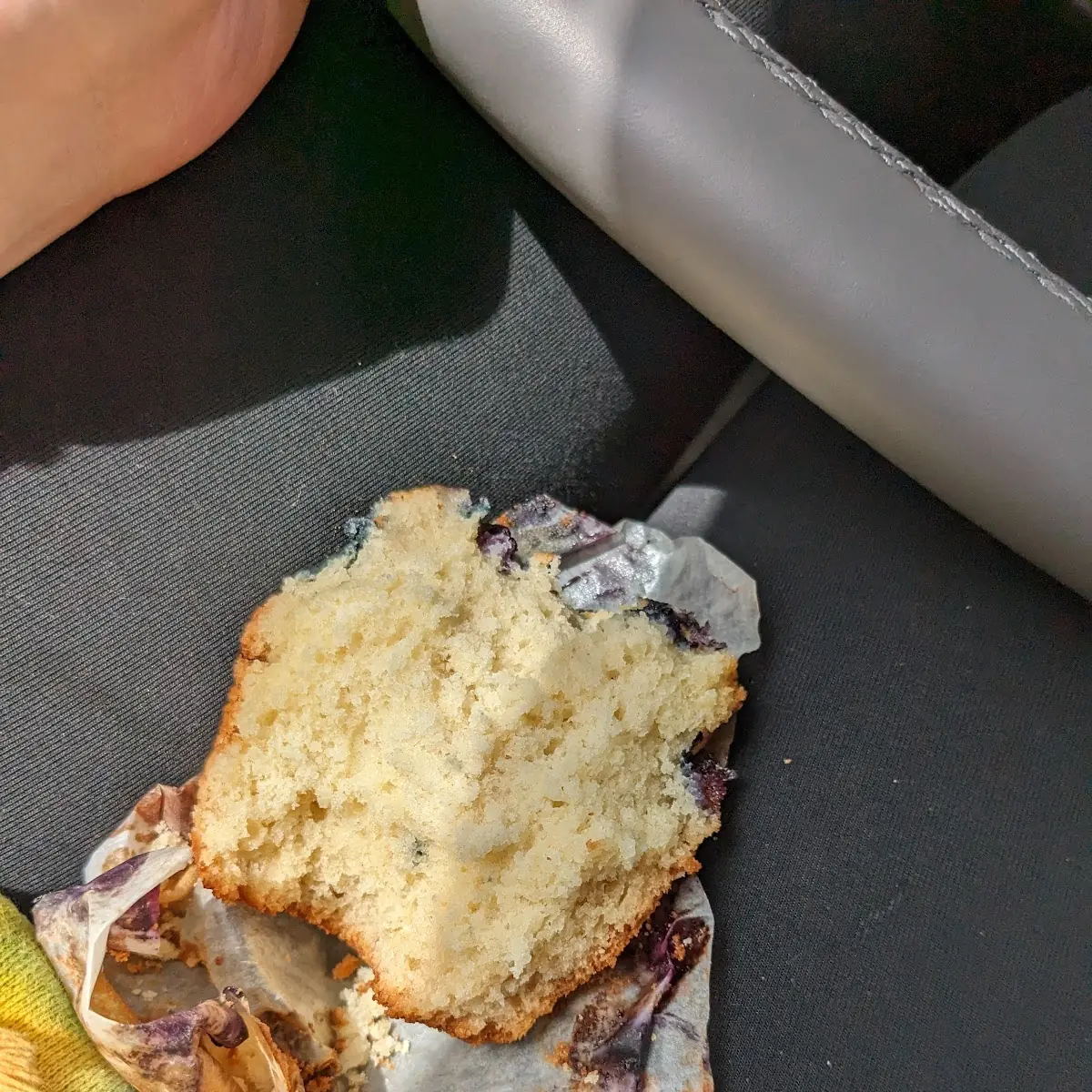Blueberry Muffin