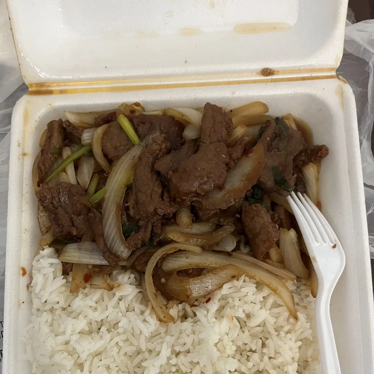 Mongolian Beef