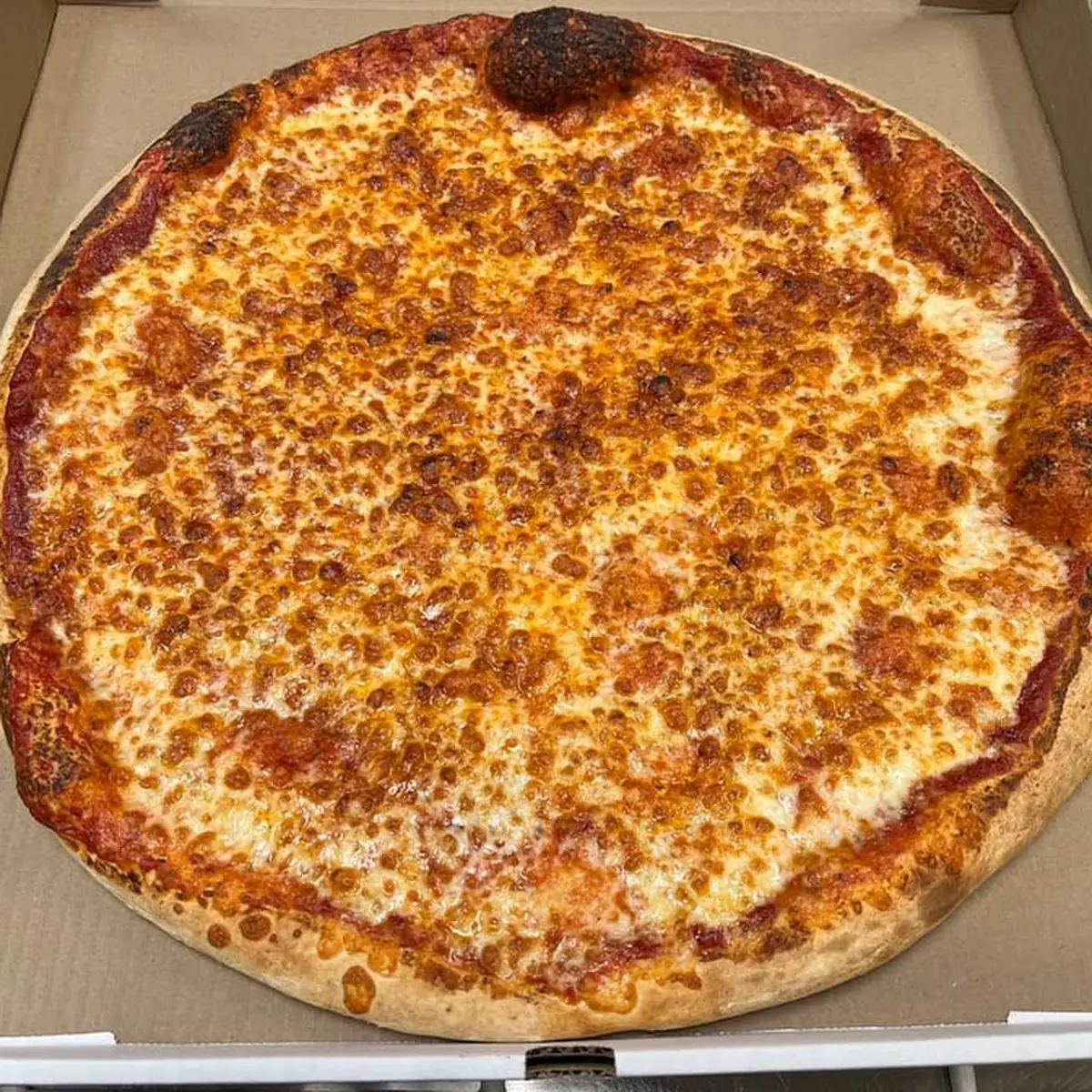 Cheese Pizza