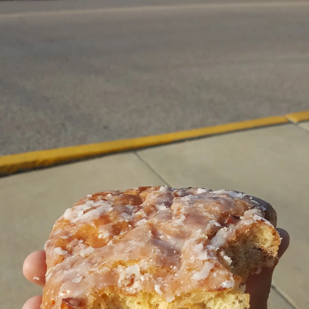 Apple Fritter