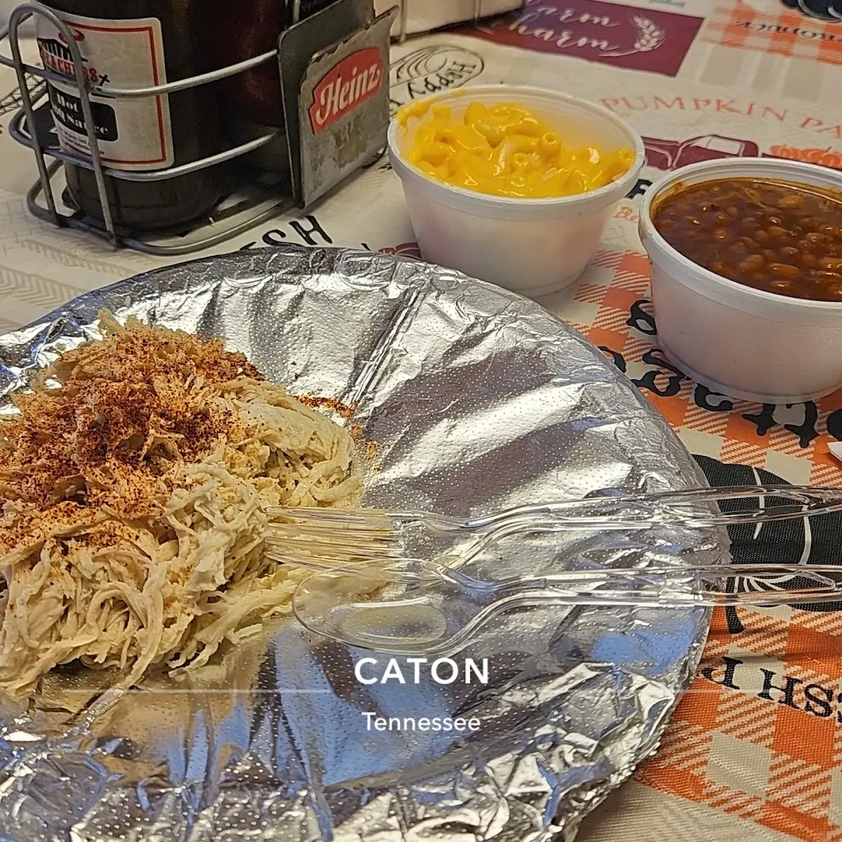 Pulled Chicken