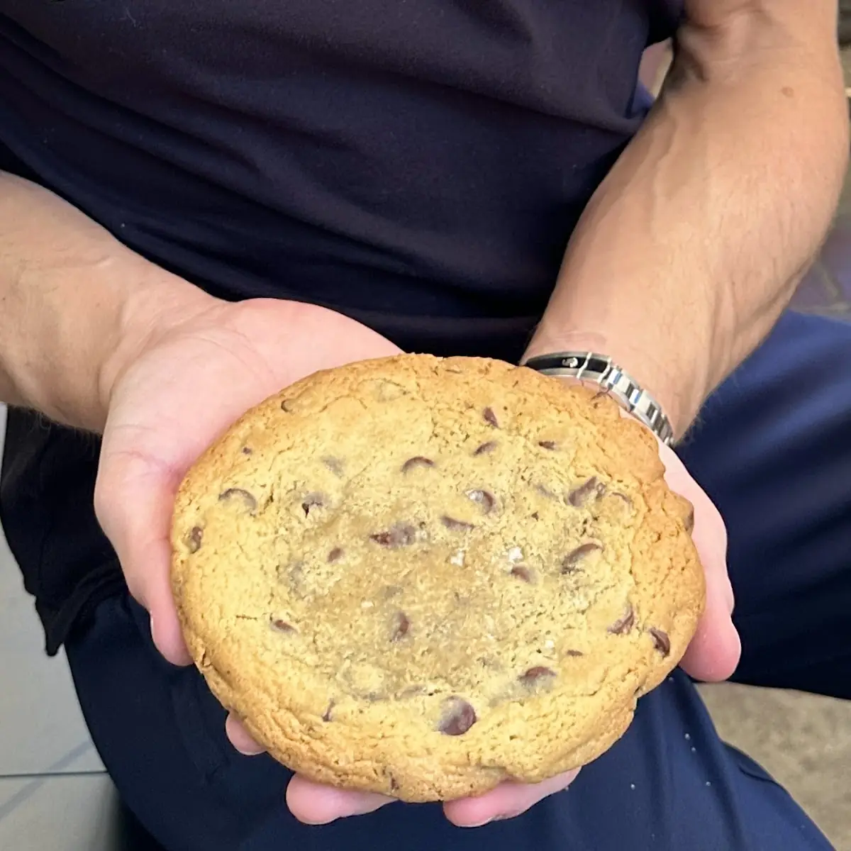 Chocolate Chip Cookie