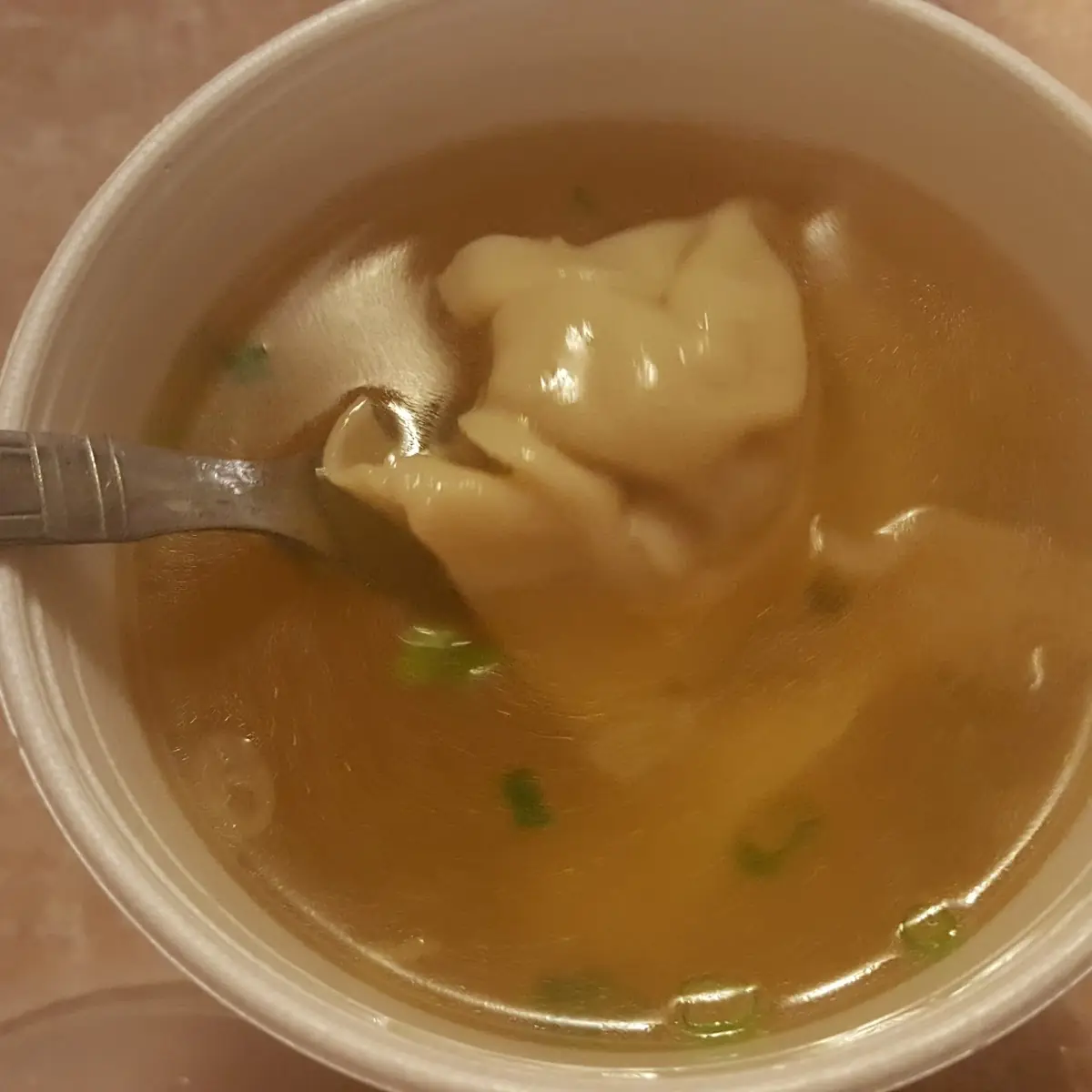 Wonton Soup