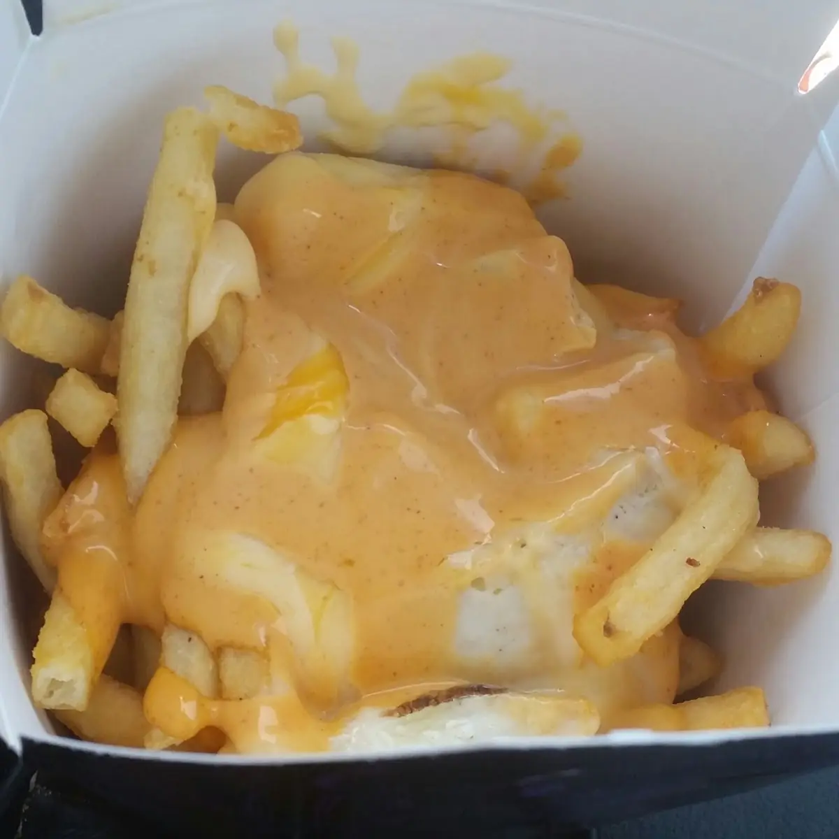 Loaded Chipotle Chicken Fries