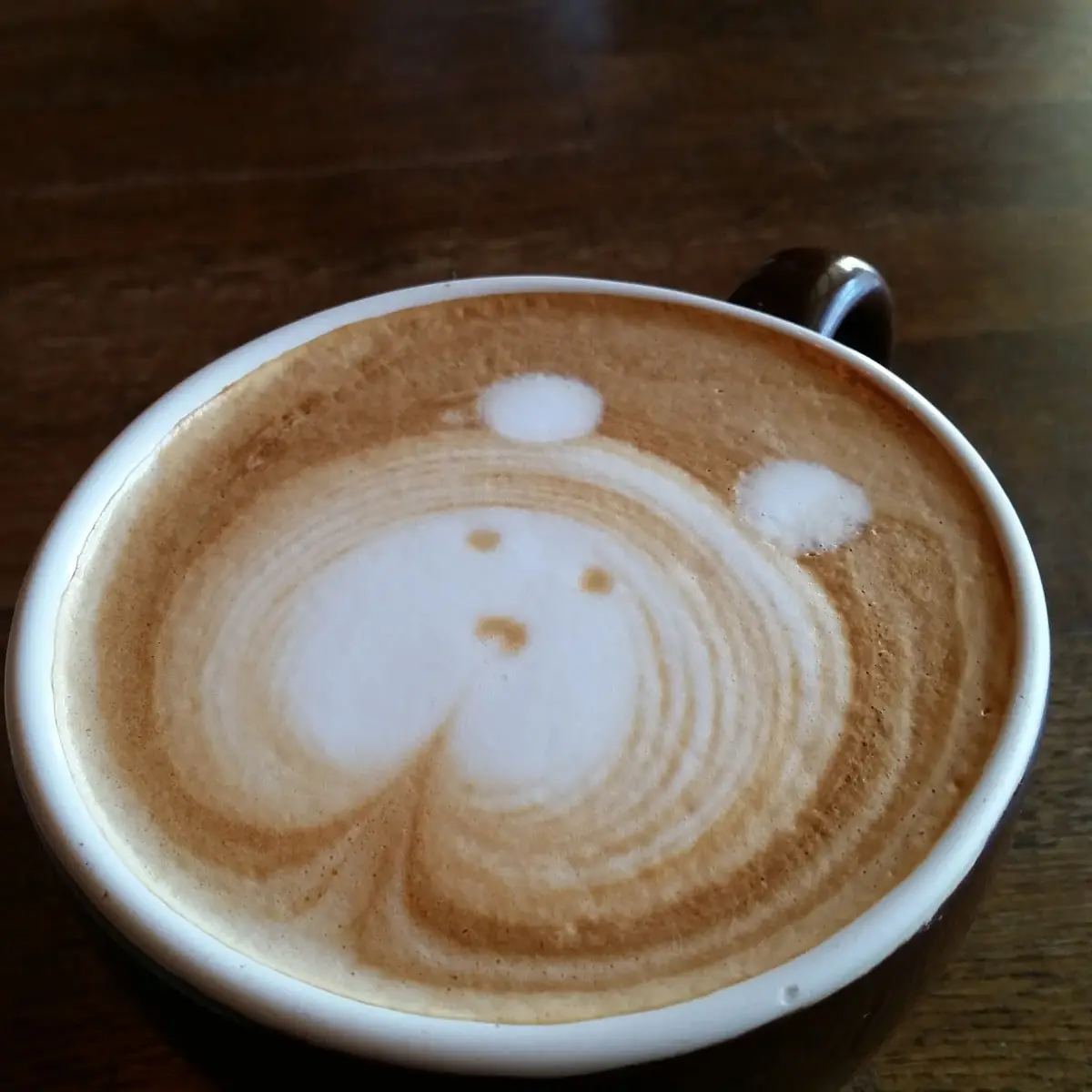 Teddy Bear Face