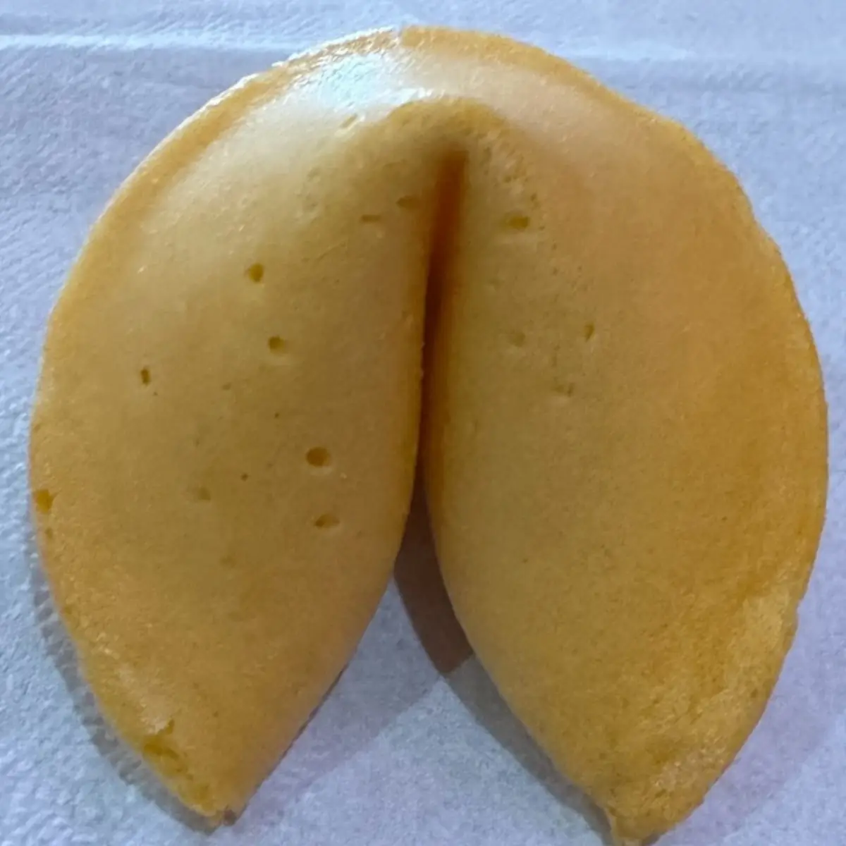 Fortune Cookie