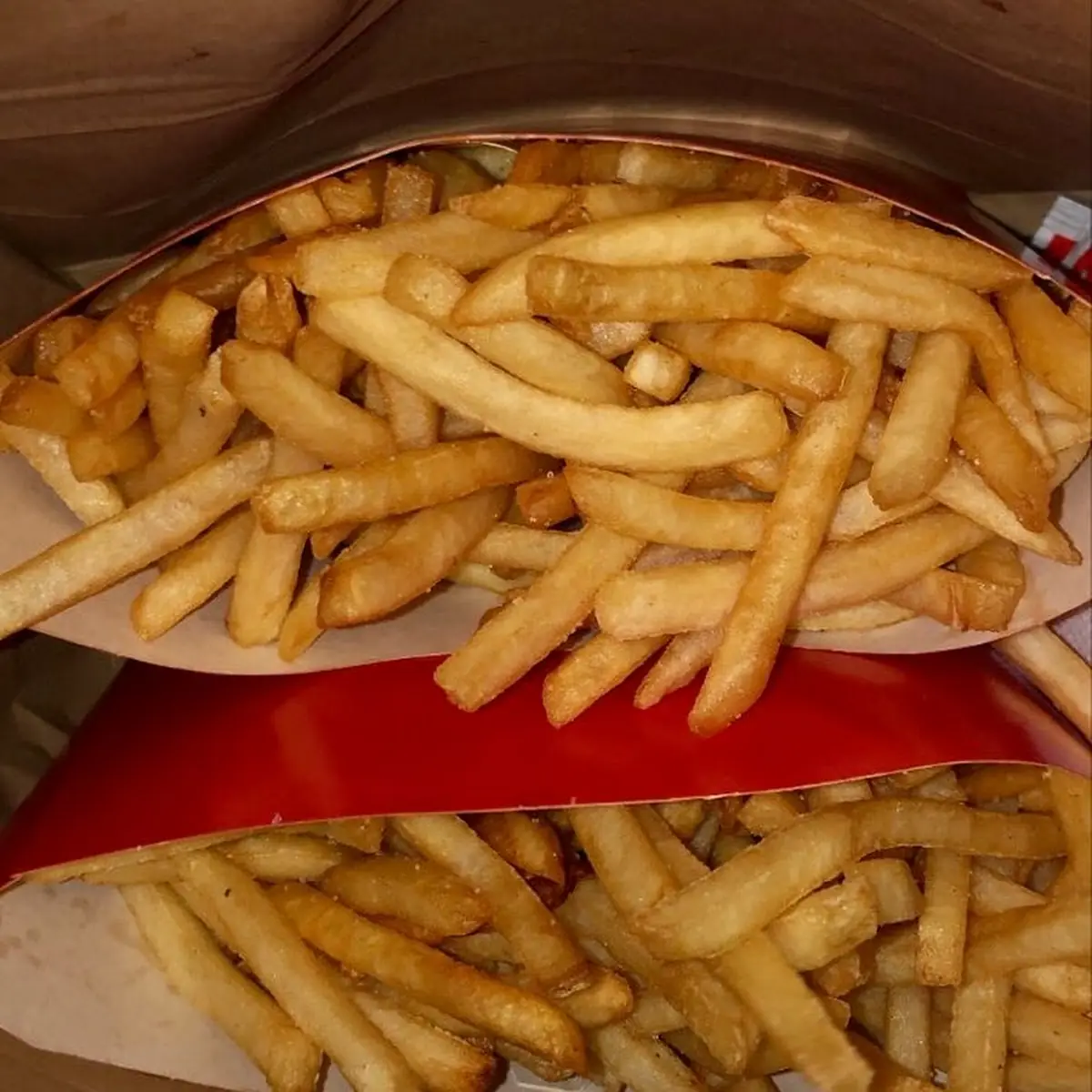 World Famous Fries