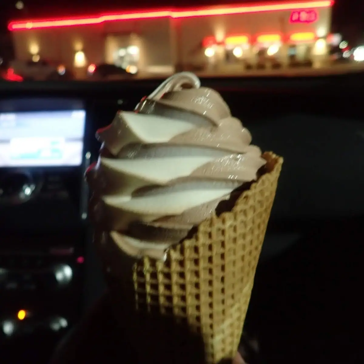 Hand Dipped Cone Double Dip