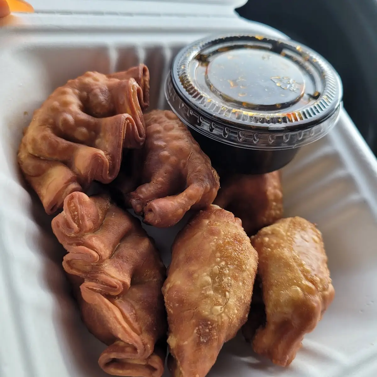 Fried Won Tons