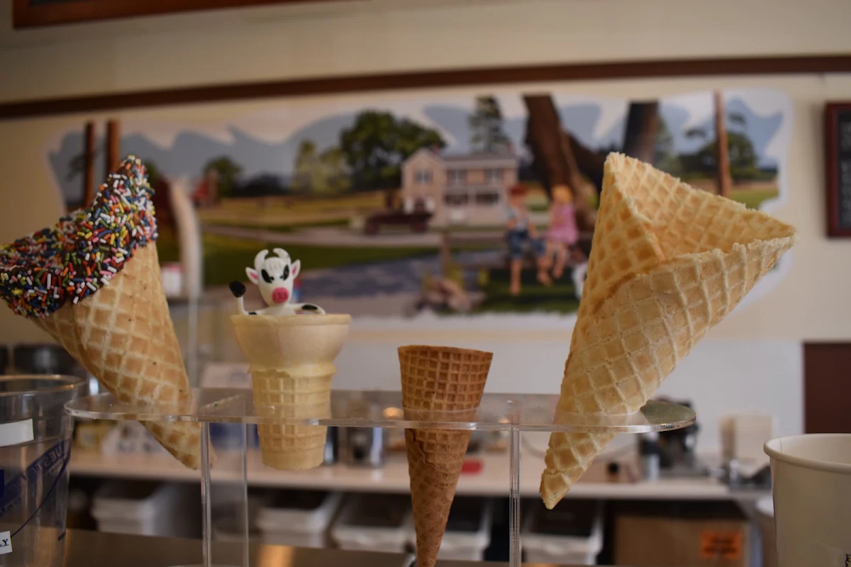 Ice Cream Cone