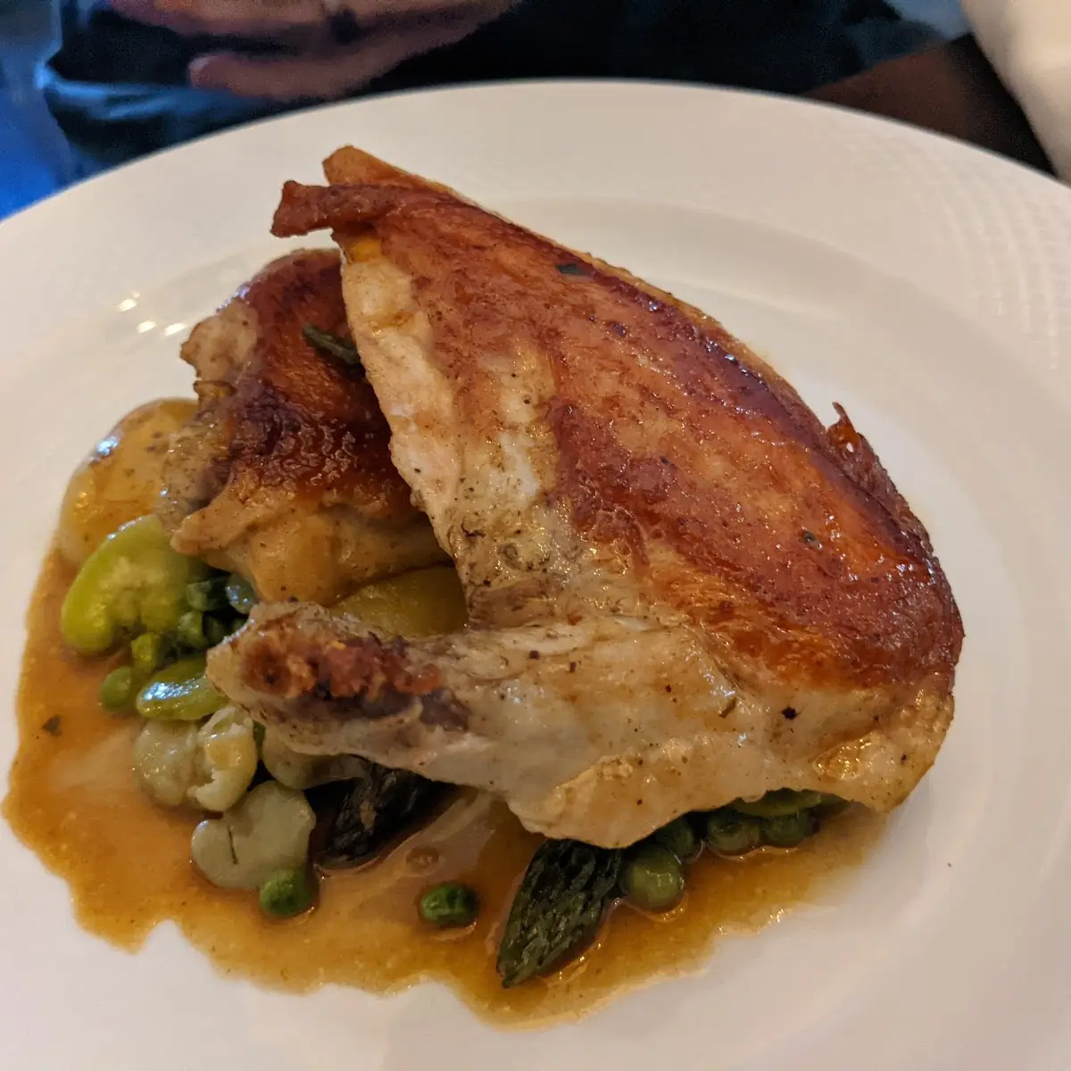 Chicken Breast
