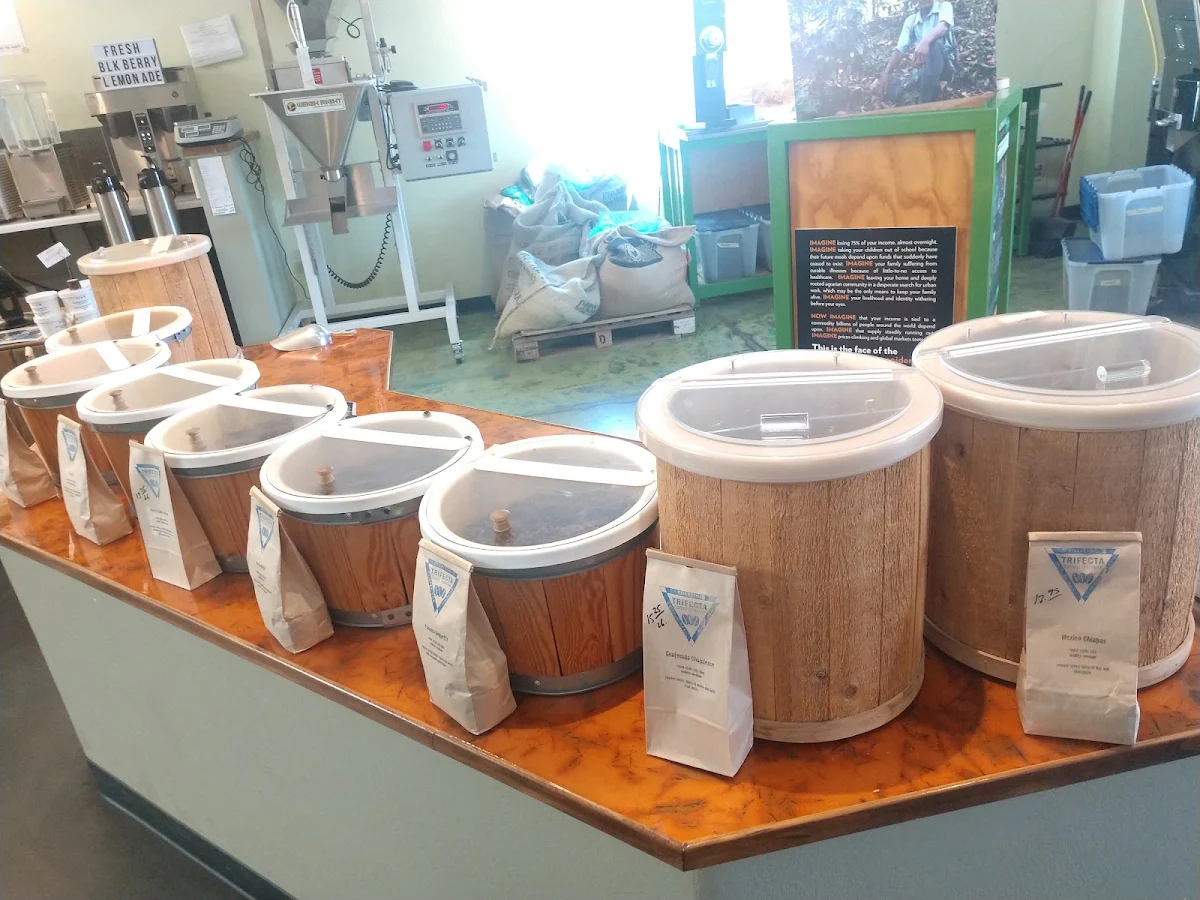 Light Roast Coffee Varieties